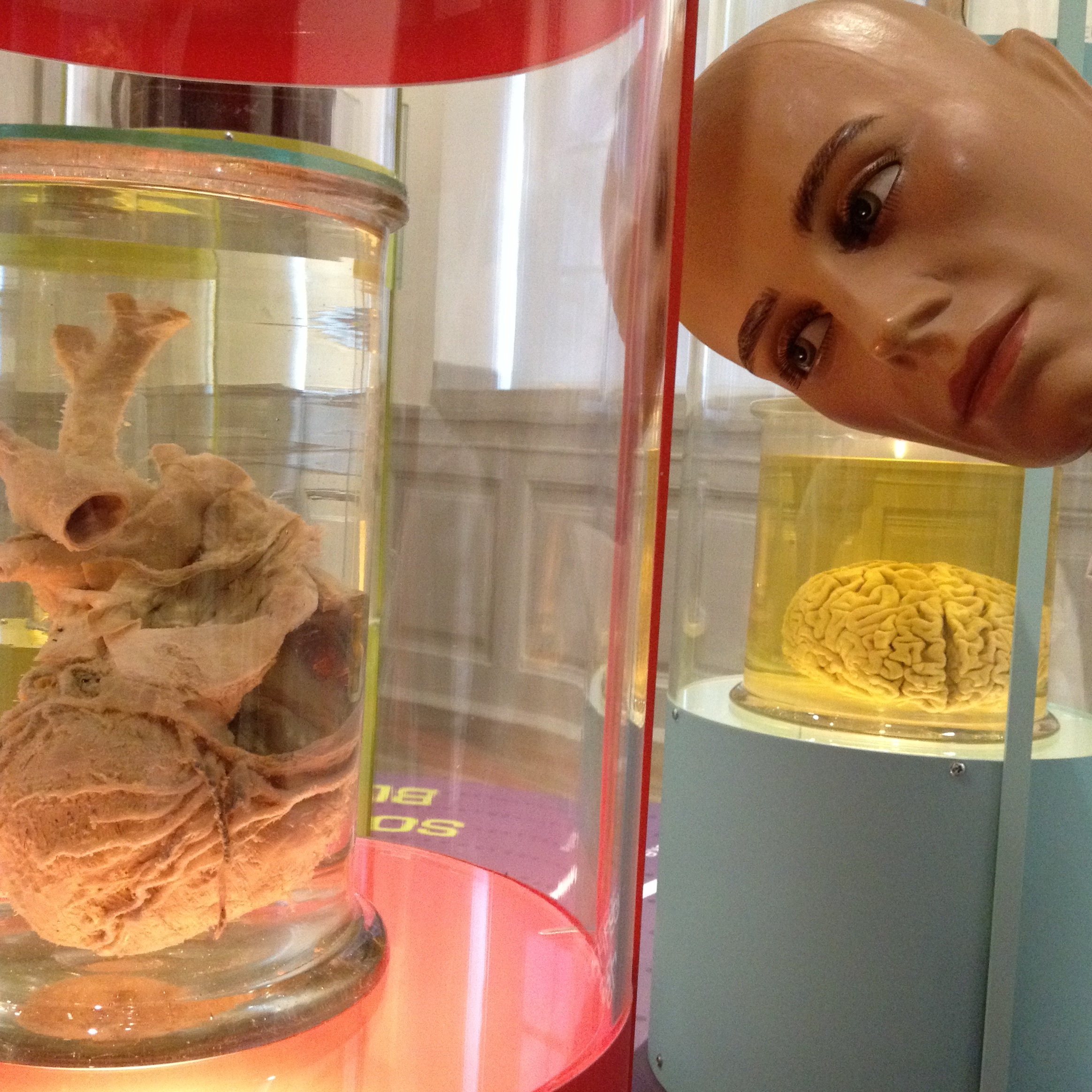 Brainface på Medicinsk Museion