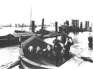 Havnearbejdere losser kul i Hamborg havn 1899-1910.