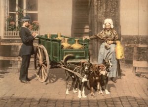 Vogn med hundetræk fra Antwerpen 1890-1900, som skibslægen beskriver det.
