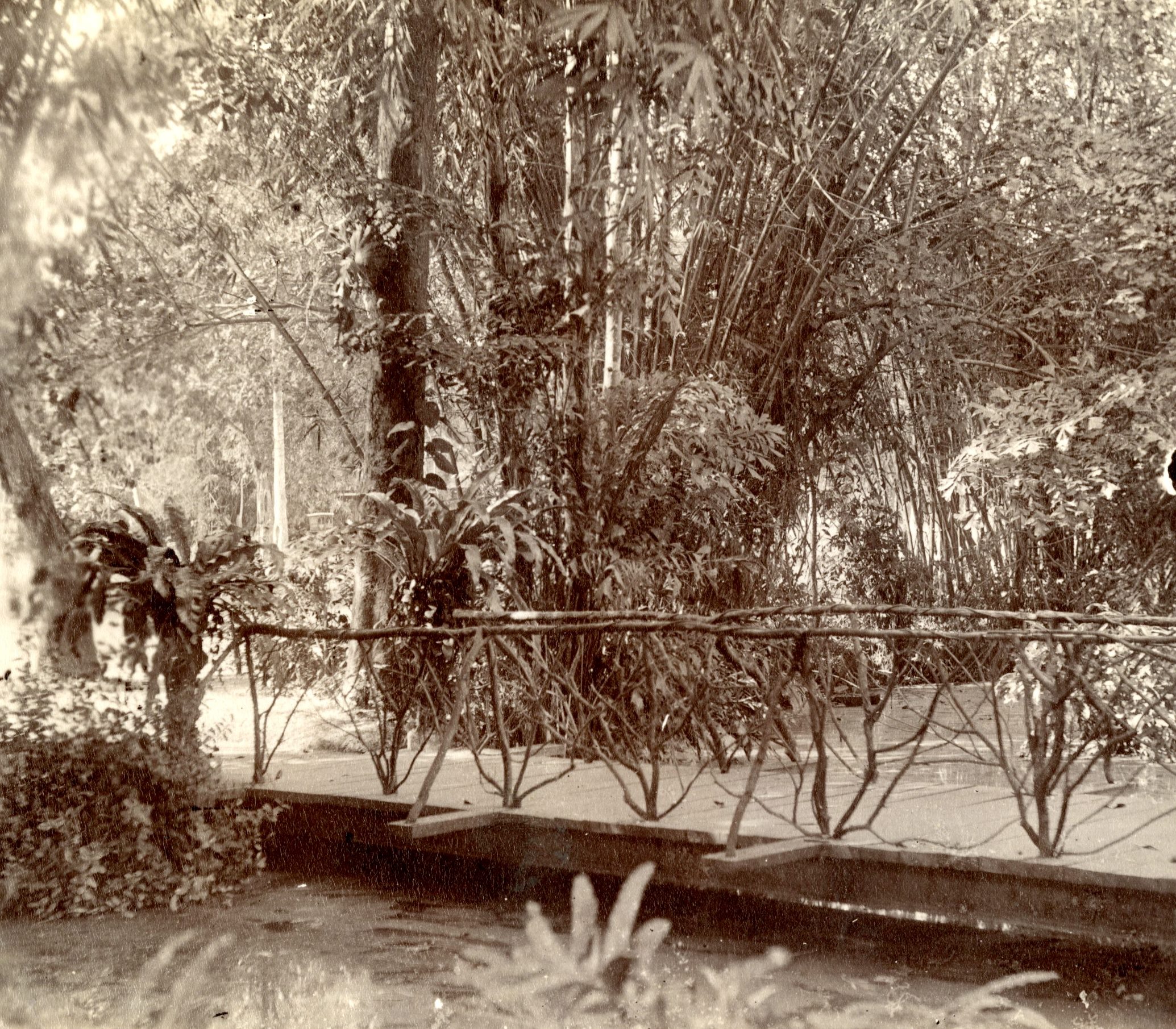 Saigon Botanisk Have