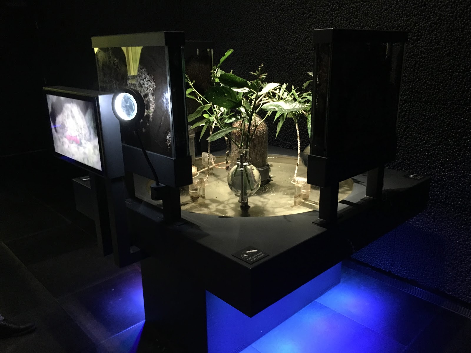Micro Worlds