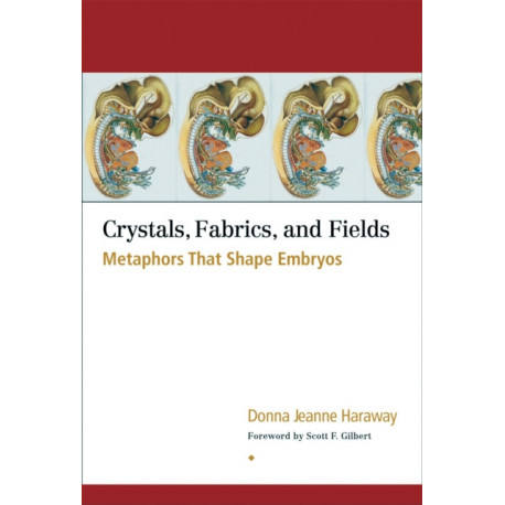 crystals-fabrics-and-fields