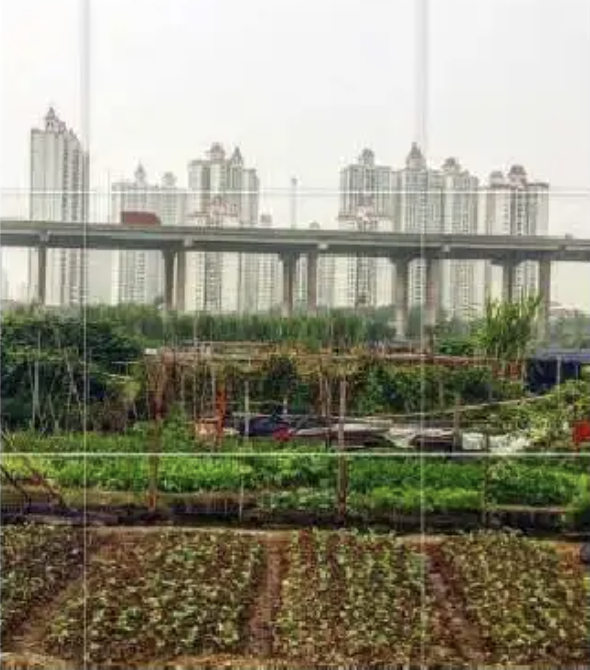 XiSan village, Pearl River Delta, Guangzhou, photo Pelin Tan, 2018
