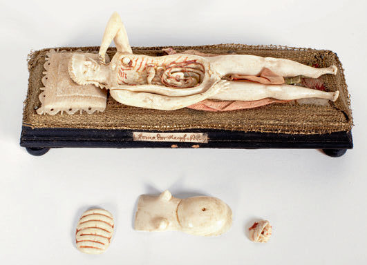 Anatomisk undervisningsmodel af gravid kvinde, Nürnberg, ca. 1700