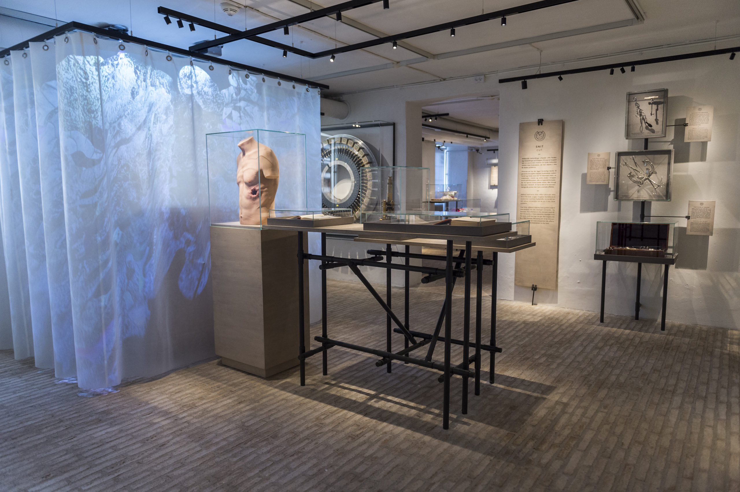 Mind the Gut - installationsview - udstilling - foto af Morten Skovgaard