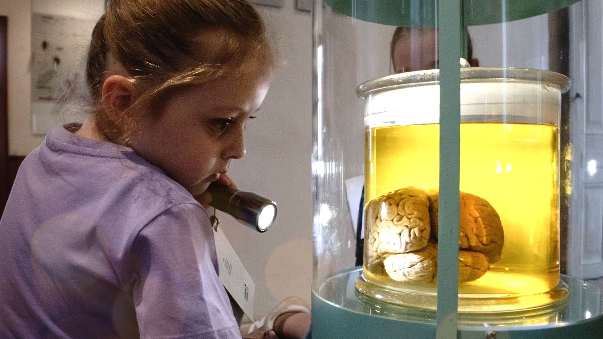 Skattejagt på museet