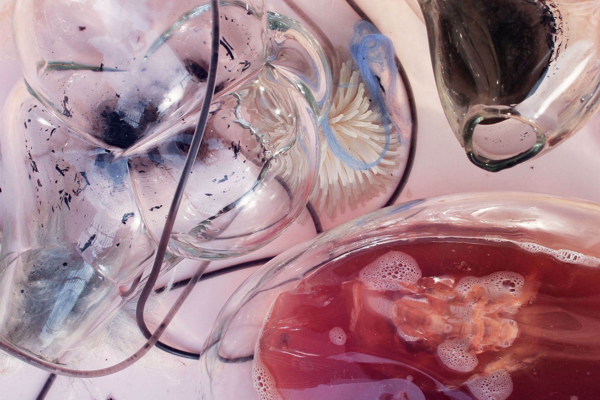 Sensing Holobiont – Flavourful Rituals for Metabolic Companions